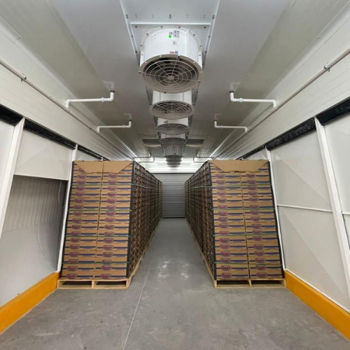 EVOLUCIÓN AGROPECUARIA - 10