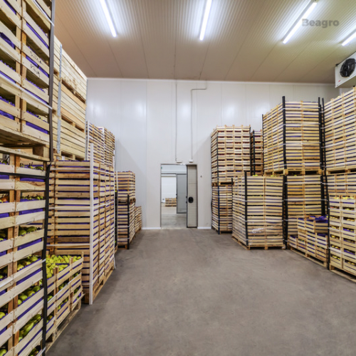 EVOLUCIÓN AGROPECUARIA - 2